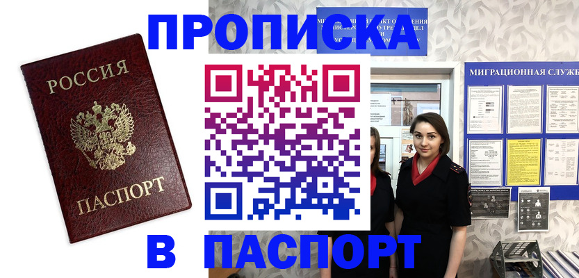 прописка 2025 в Звенигово